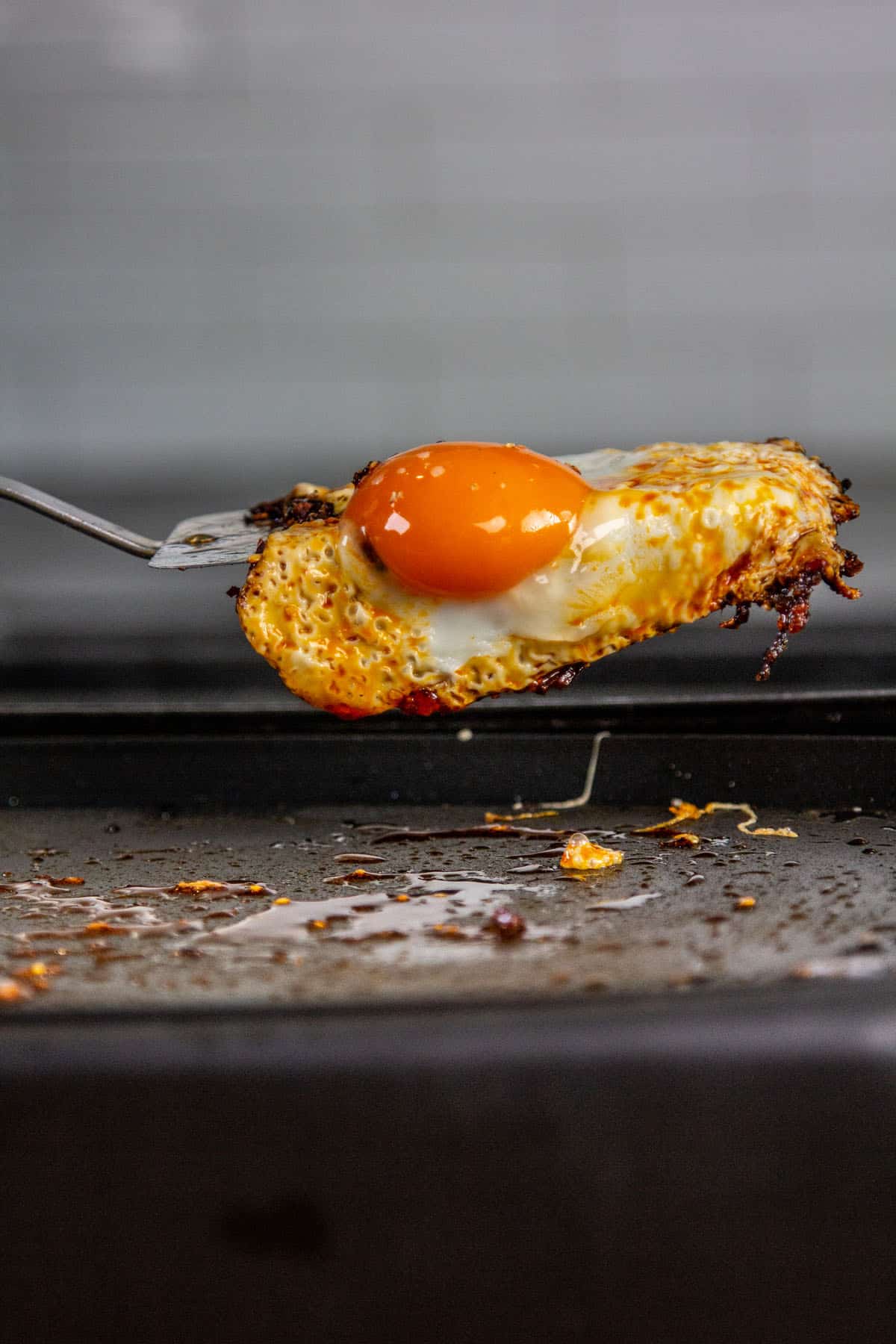 spatula holding fried egg